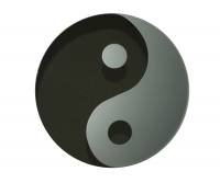 yin yang mirror round 40cm
